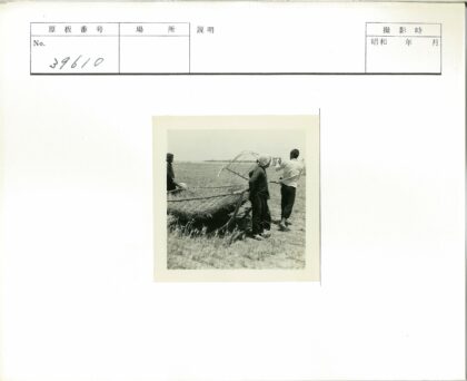 两人草地捕网工作.jpg