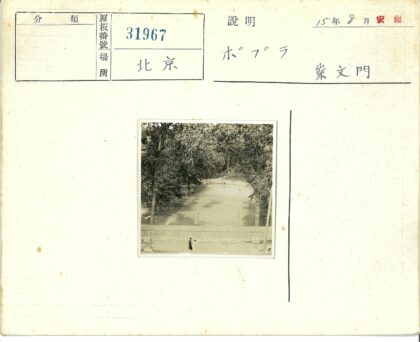 两人走下林间台阶.jpg