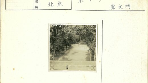 两人走下林间台阶.jpg