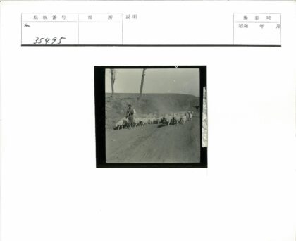 两人赶羊土路行.jpg