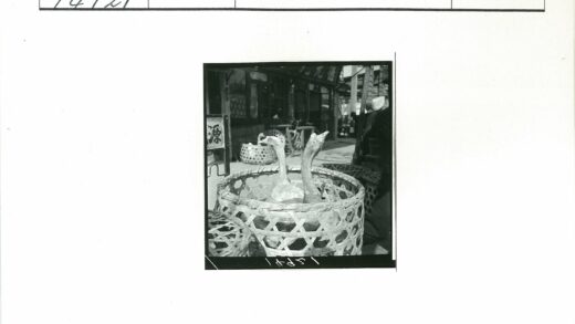 两只鸭子在编织篮店面街景.jpg