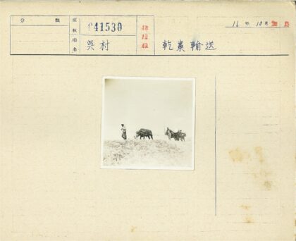 两男牵牛拉车过荒地.jpg