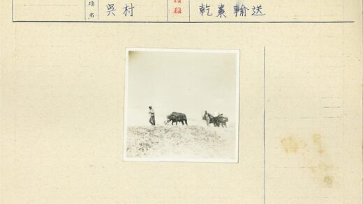两男牵牛拉车过荒地.jpg