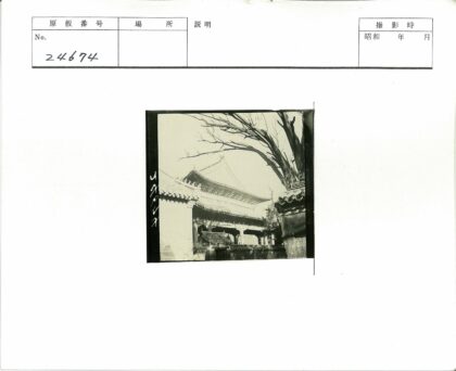 中国传统建筑屋顶与枯树晴空.jpg