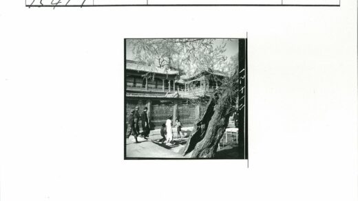 中国传统建筑旁的古树与木格廊.jpg