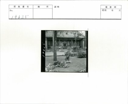 中式庭院古树与建筑景观.jpg