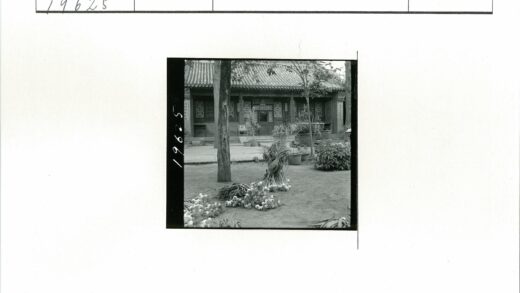 中式庭院古树与建筑景观.jpg