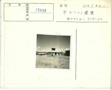 中心塔楼与马车风景照.jpg
