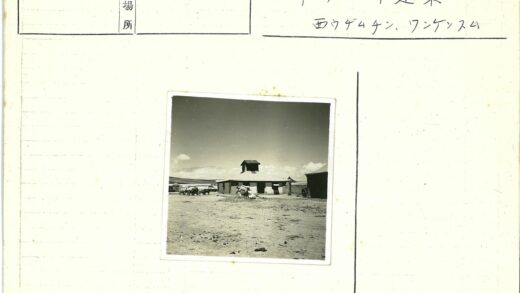 中心塔楼与马车风景照.jpg