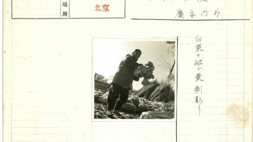 丰收喜悦中的绿色蔬菜.jpg