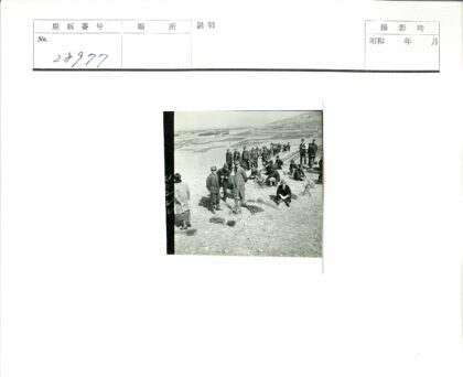 丰收季节的农田劳作.jpg