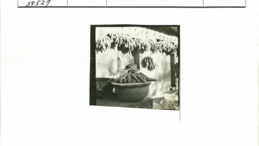 丰收玉米墙边碗中堆.jpg