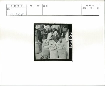 丰收谷物麻袋人群围坐木车旁.jpg