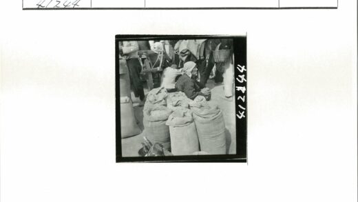 丰收谷物麻袋人群围坐木车旁.jpg