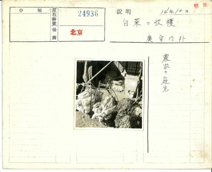 乡村丰收蔬菜篮与木结构背景.jpg