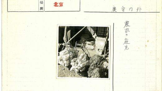 乡村丰收蔬菜篮与木结构背景.jpg