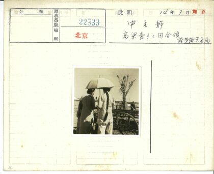 乡村伞下长辫子与手推车.jpg