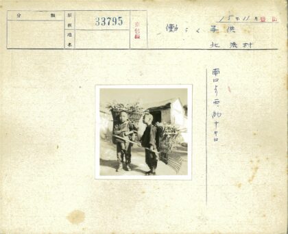 乡村儿童采摘植物劳作照.jpg