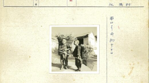 乡村儿童采摘植物劳作照.jpg
