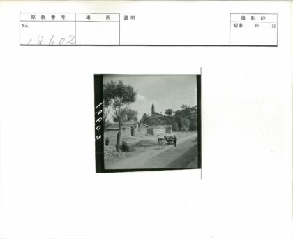 乡村劳作与驴车山景.jpg