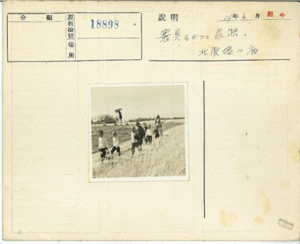 乡村土路上的亲子漫步.jpg