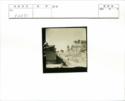 乡村土路与宝塔景观.jpg