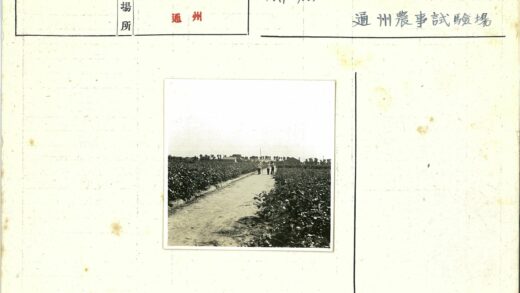 乡村土路农田风光.jpg