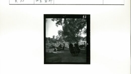 乡村土路旁的独轮车与树景.jpg