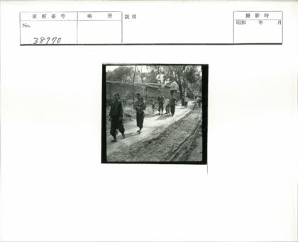 乡村土路行人树影.jpg