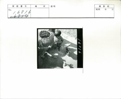 乡村孩童与鸡群篮边嬉戏.jpg