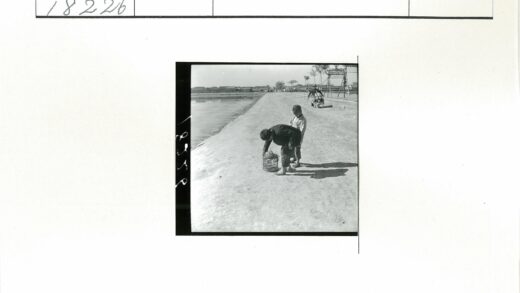 乡村孩童河边检查笼子.jpg