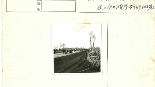 乡村小路田野树木长道.jpg