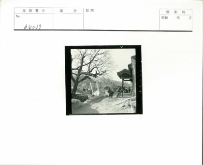 乡村建设与马车传统建筑.jpg
