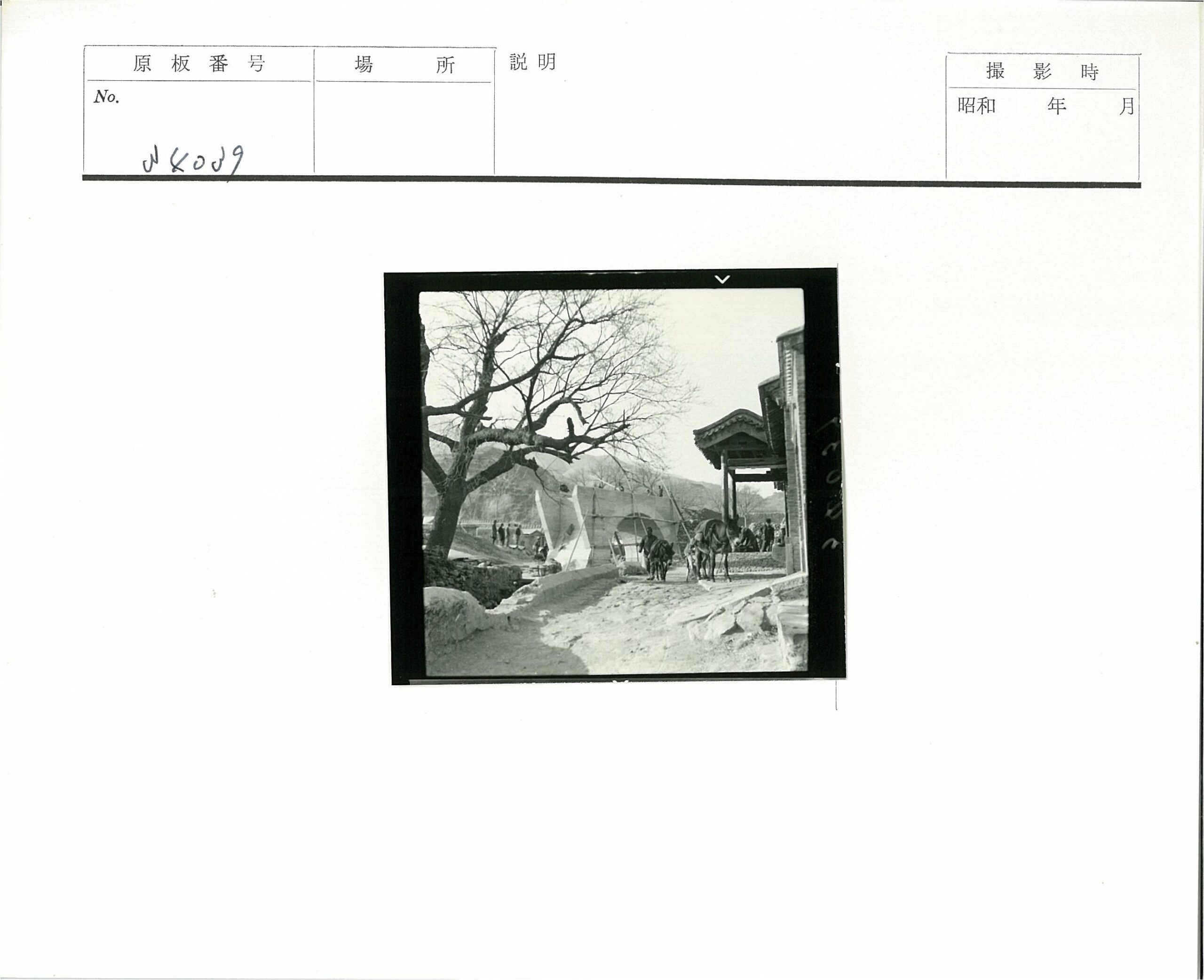 乡村建设与马车传统建筑.jpg