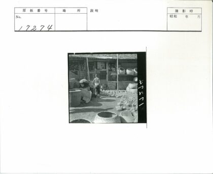 乡村房前鸭子散落木屋百叶窗.jpg