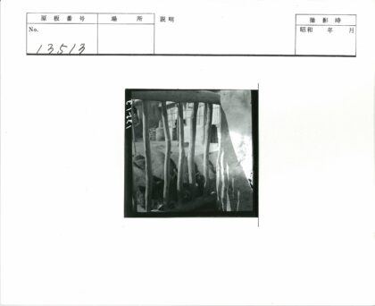 乡村木栅栏养猪场景.jpg