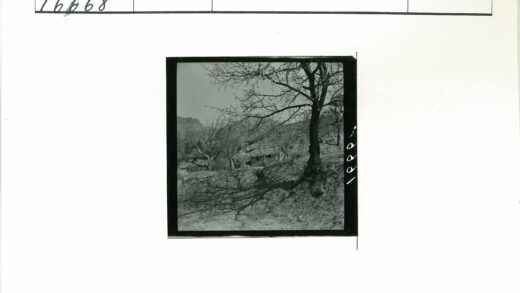 乡村枯树与远山房屋景.jpg