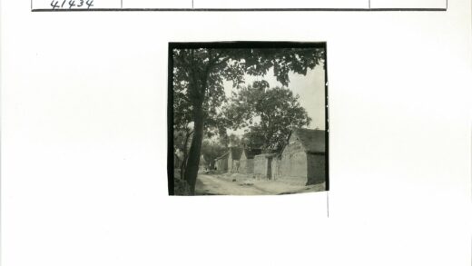 乡村泥屋与树木景色.jpg