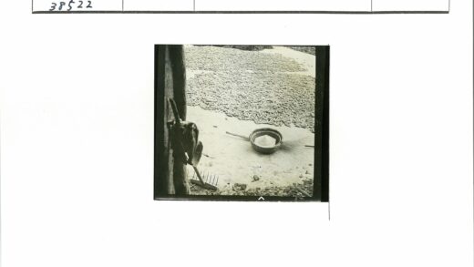 乡村玉米丰收劳作场景.jpg