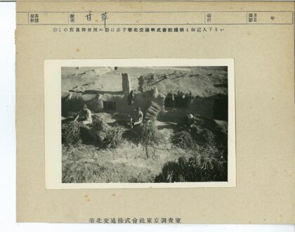 乡村生活劳作树枝捆整理.jpg