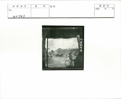 乡村生活场景与牛群土路.jpg
