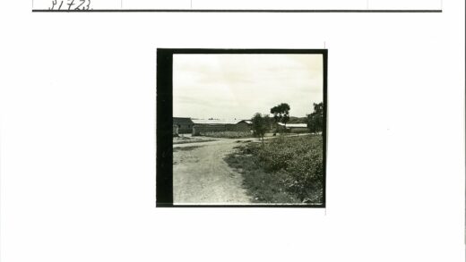 乡村田园风光景色.jpg