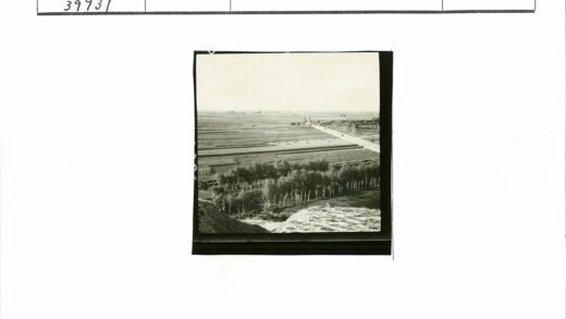 乡村田园风光远眺.jpg