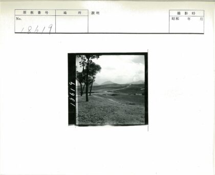 乡村田野土路树木山丘.jpg