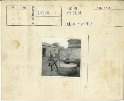 乡村驴拉磨场景.jpg