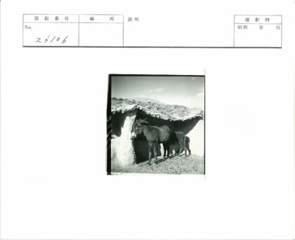 乡村驴棚与小山景色.jpg
