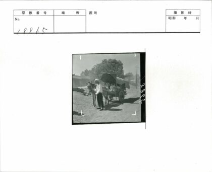 乡村驴车载客旧时光.jpg