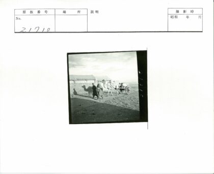 乡村骆驼拉车同行建筑背景.jpg