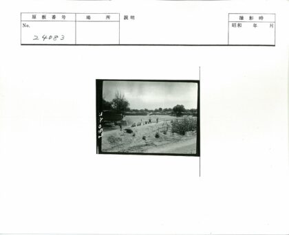 乡间土路行人树木建筑.jpg