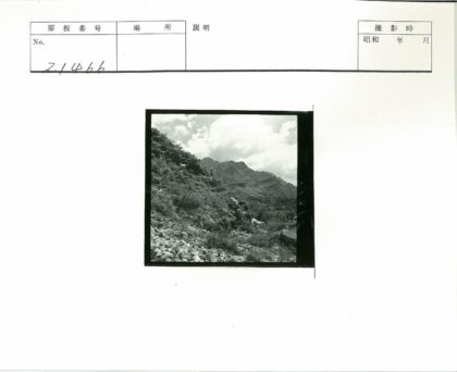 云雾山岩间攀爬的山羊.jpg